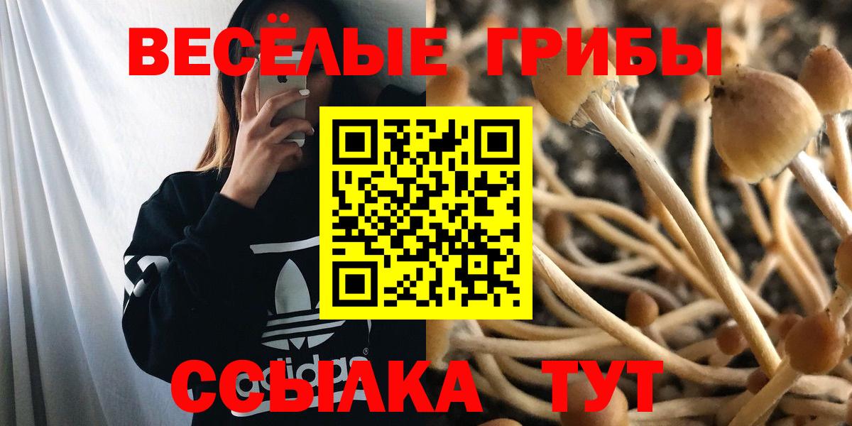 Галлюциногенные грибы GOLDEN TEACHER  Псилоцибиновые грибы Magic Shrooms  Вход с VPN  Тосно 