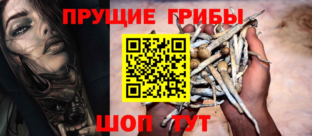Псилоцибиновые грибы мицелий Тосно